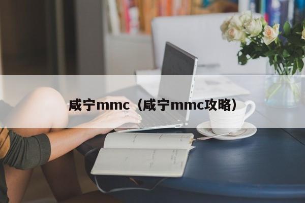 咸宁mmc（咸宁mmc攻略）