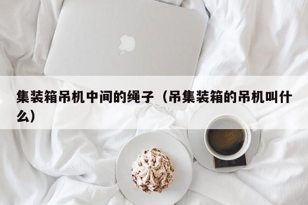 集装箱吊机中间的绳子（吊集装箱的吊机叫什么）