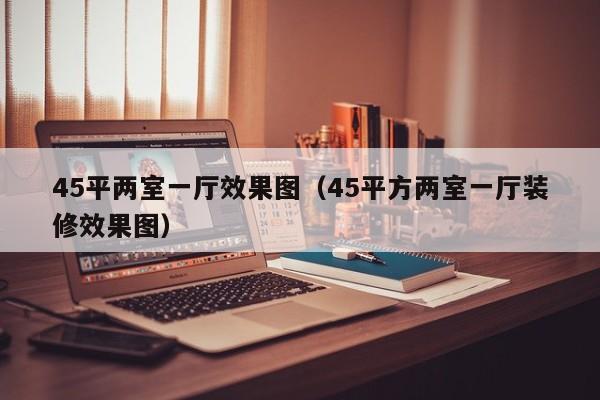 45平两室一厅效果图（45平方两室一厅装修效果图）