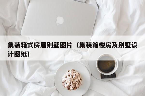 集装箱式房屋别墅图片（集装箱楼房及别墅设计图纸）