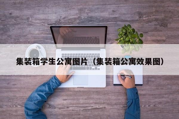 集装箱学生公寓图片（集装箱公寓效果图）