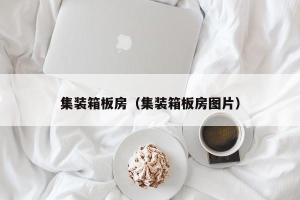 集装箱板房（集装箱板房图片）