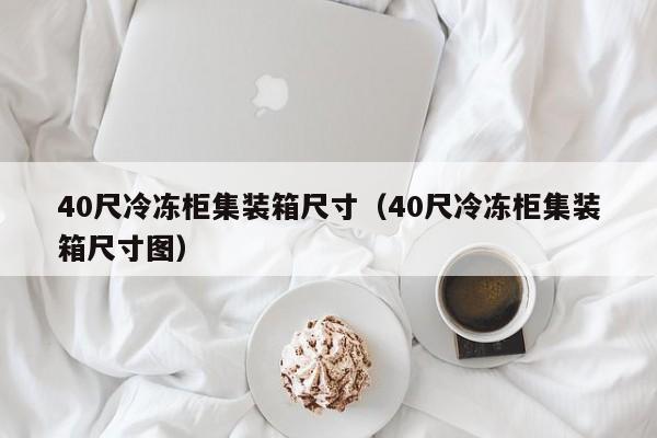 40尺冷冻柜集装箱尺寸（40尺冷冻柜集装箱尺寸图）