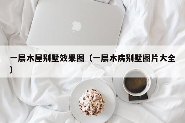 一层木屋别墅效果图（一层木房别墅图片大全）