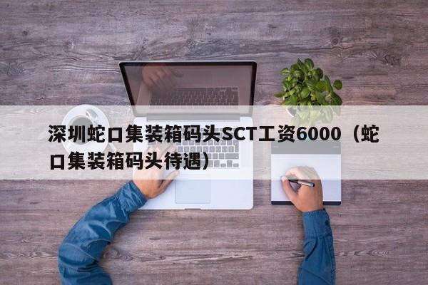 深圳蛇口集装箱码头SCT工资6000（蛇口集装箱码头待遇）