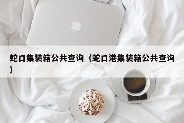 蛇口集装箱公共查询（蛇口港集装箱公共查询）