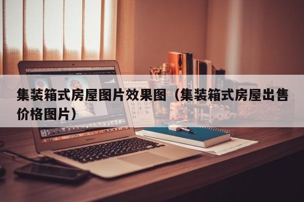 集装箱式房屋图片效果图（集装箱式房屋出售价格图片）