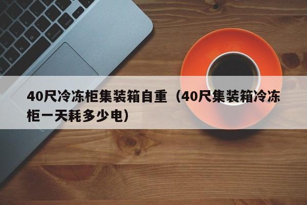 40尺冷冻柜集装箱自重（40尺集装箱冷冻柜一天耗多少电）