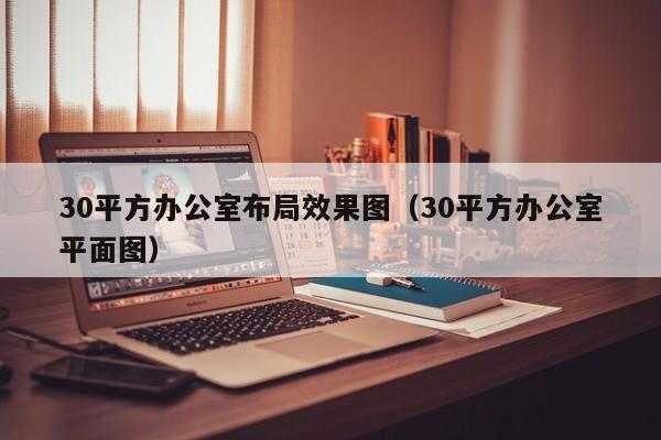 30平方办公室布局效果图（30平方办公室平面图）