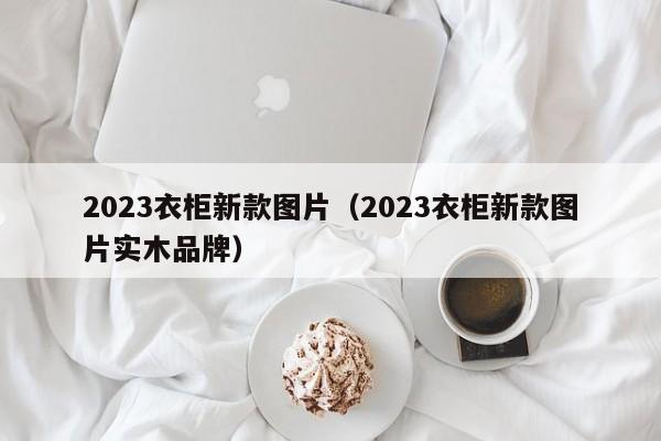 2023衣柜新款图片（2023衣柜新款图片实木品牌）