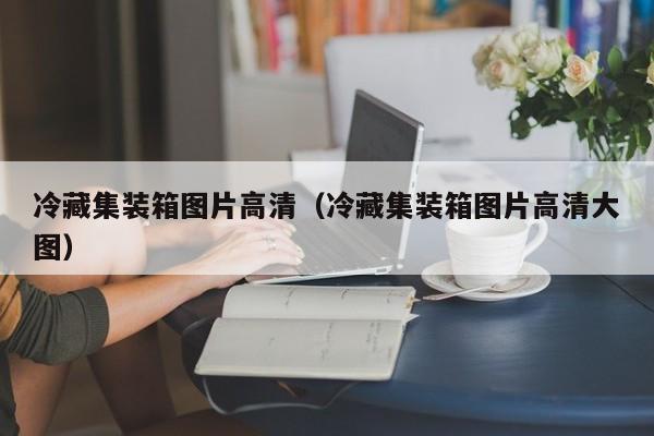 冷藏集装箱图片高清（冷藏集装箱图片高清大图）