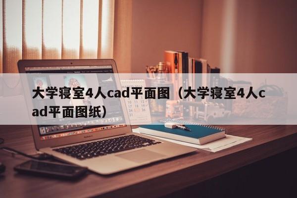 大学寝室4人cad平面图（大学寝室4人cad平面图纸）