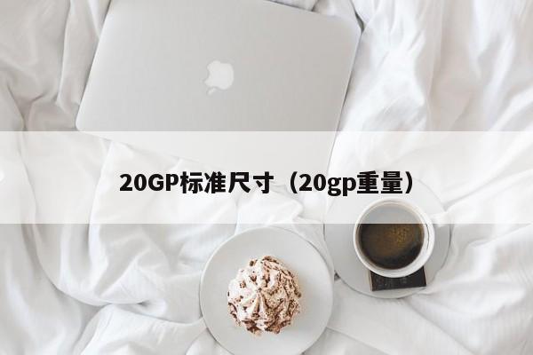 20GP标准尺寸（20gp重量）