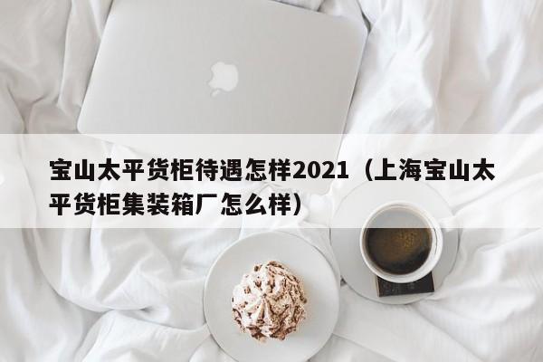 宝山太平货柜待遇怎样2021（上海宝山太平货柜集装箱厂怎么样）