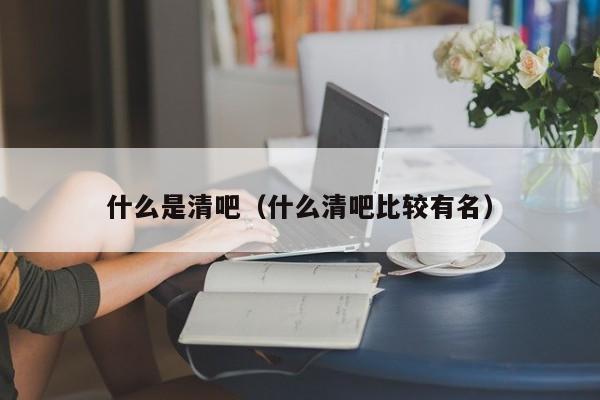 什么是清吧（什么清吧比较有名）