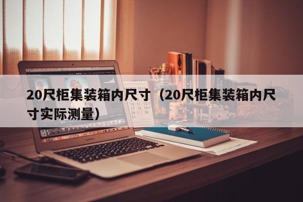 20尺柜集装箱内尺寸（20尺柜集装箱内尺寸实际测量）