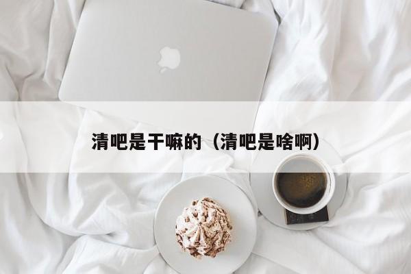 清吧是干嘛的（清吧是啥啊）