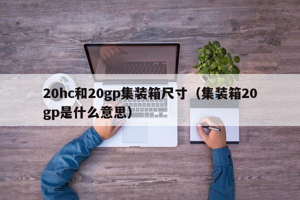 20hc和20gp集装箱尺寸（集装箱20gp是什么意思）