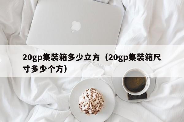 20gp集装箱多少立方（20gp集装箱尺寸多少个方）