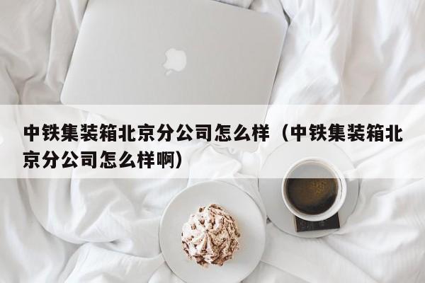 中铁集装箱北京分公司怎么样（中铁集装箱北京分公司怎么样啊）